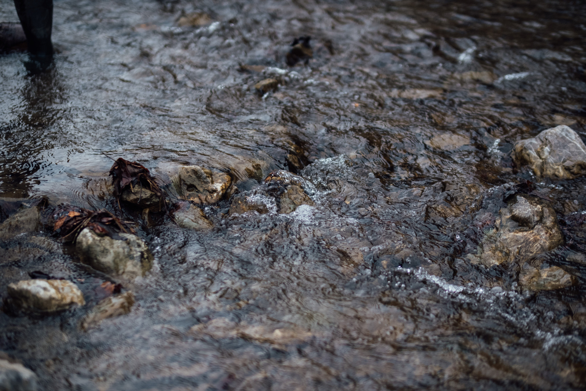 Kvapka Rajeckej doliny sa tento rok presúva z lesov aj k vodným tokom