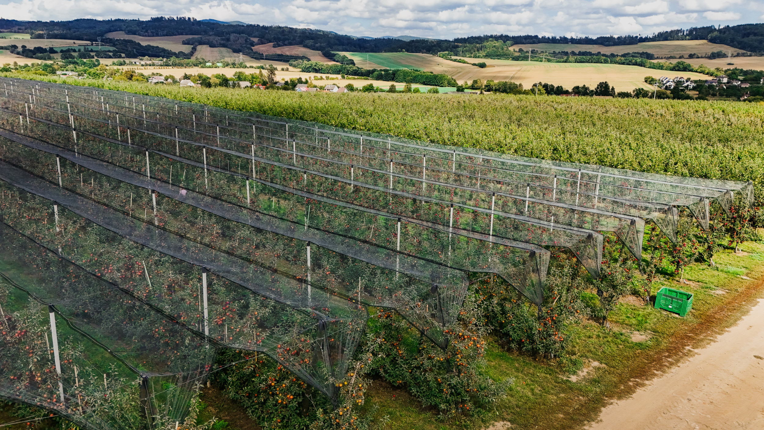 Kofola hlásí úspěšnou sezónu v zachráněných sadech. Rozšiřuje výsadby i plochu, na které hospodaří.