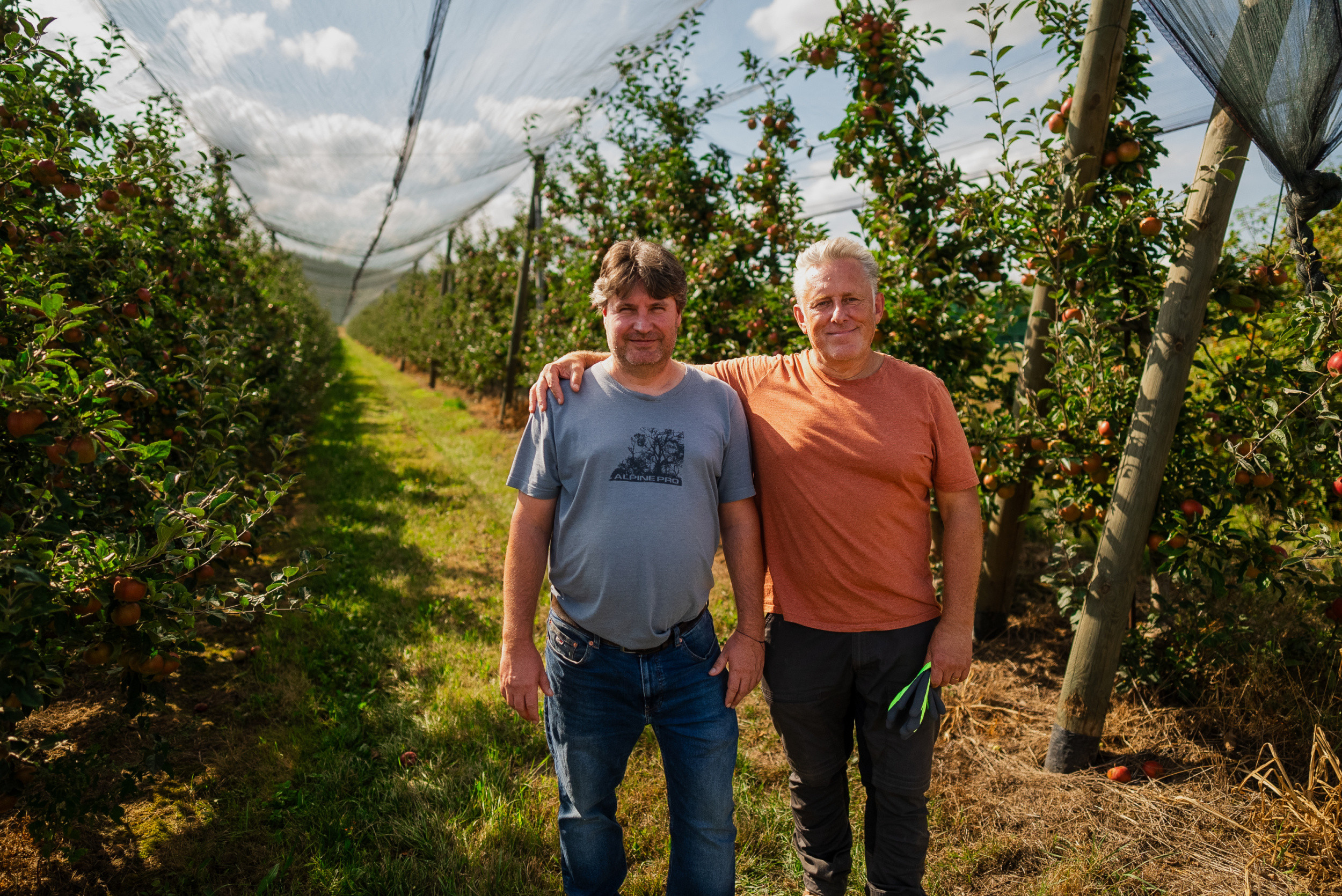 Kofola hlásí úspěšnou sezónu v zachráněných sadech. Rozšiřuje výsadby i plochu, na které hospodaří.