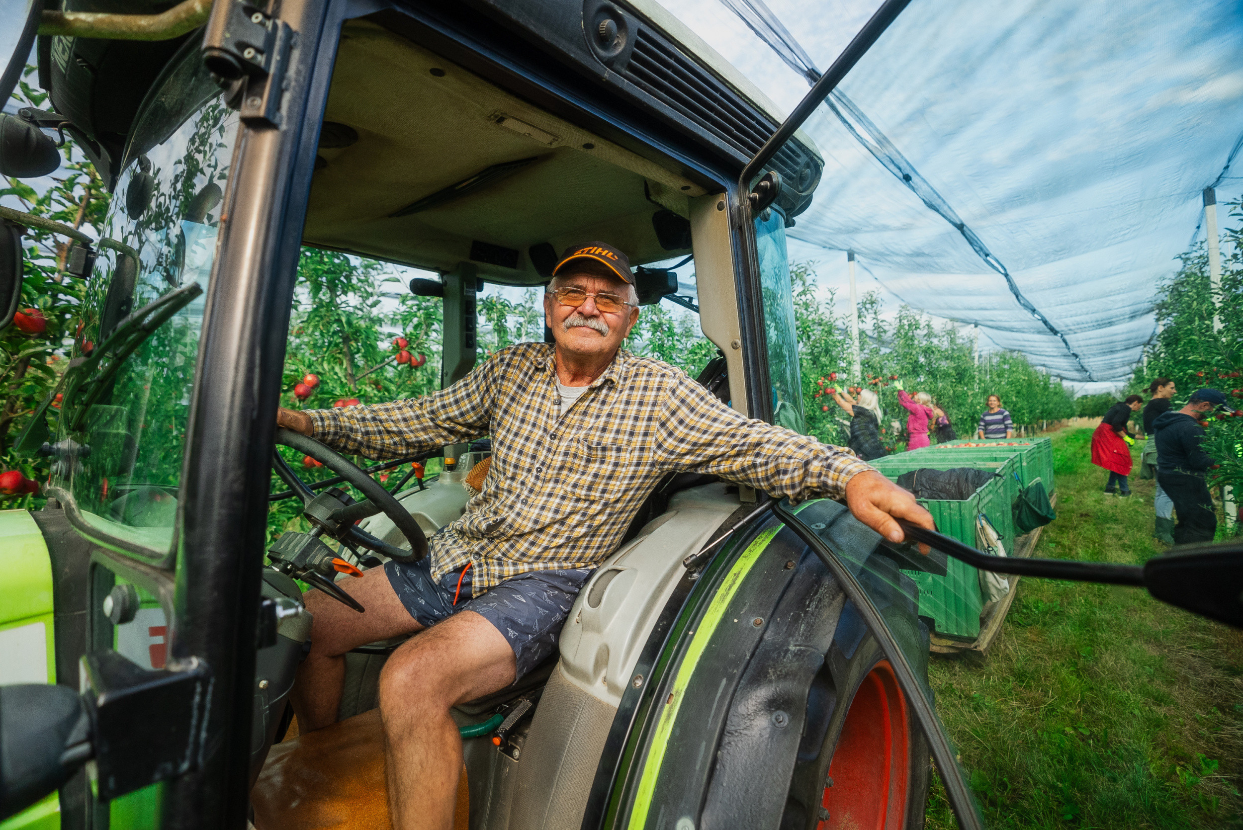 Kofola hlásí úspěšnou sezónu v zachráněných sadech. Rozšiřuje výsadby i plochu, na které hospodaří.
