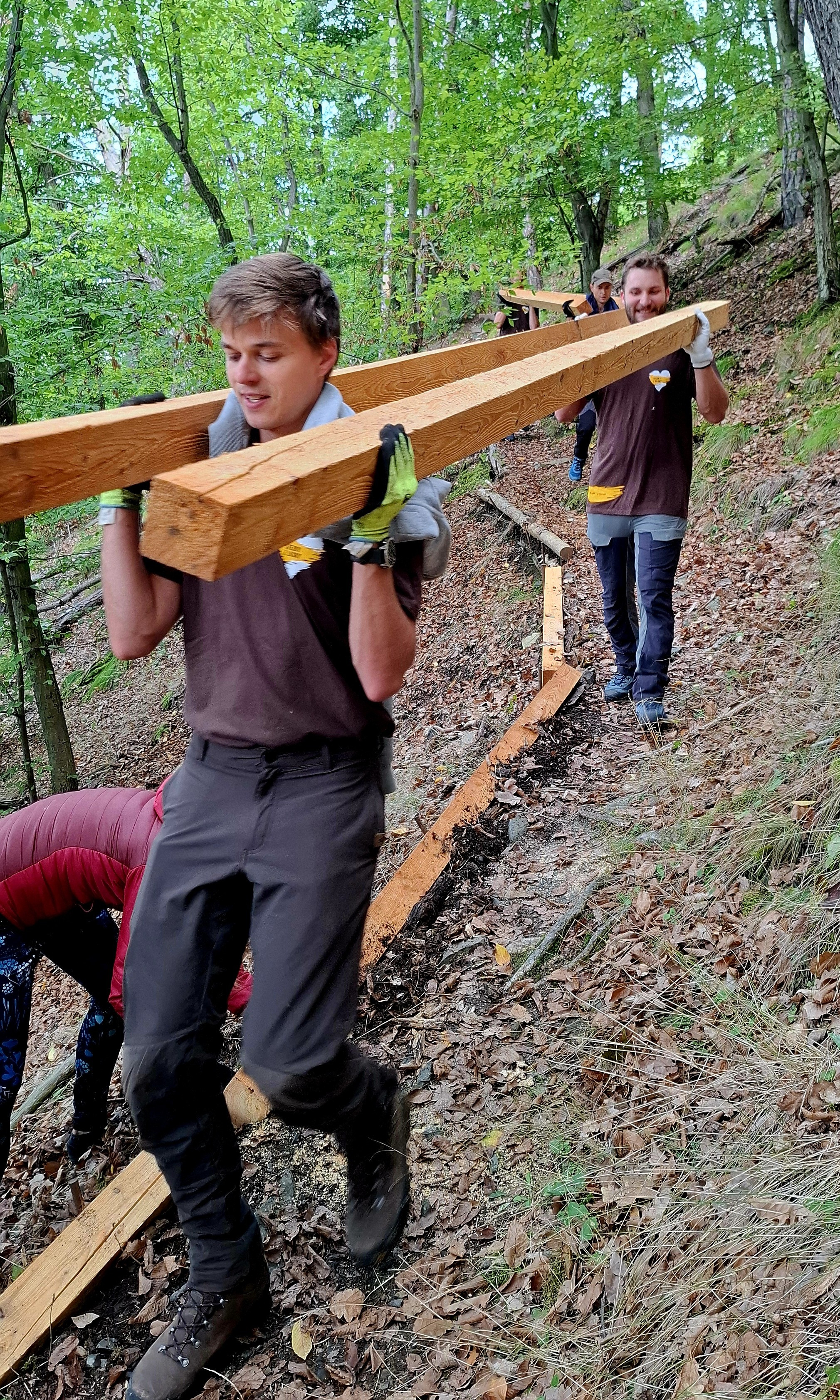 Dva kilometry oprav a 150 těžkých dřevěných kůlů. Naučná stezka v Drbákově je opět bezpečná. 