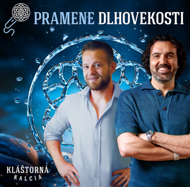 Ako na pohodové Vianoce? Nezabúdajte na základy princípov dlhovekosti