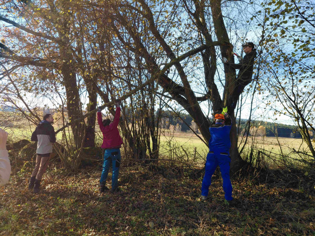 Brigádníci projektu Stezky z lásky zpřístupnili neprůchozí turistickou trasu ve Slepičích horách